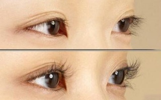 BẤM MI KELI EYELASH CURLER