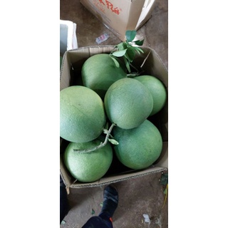 Bưởi da xanh ruột đỏ