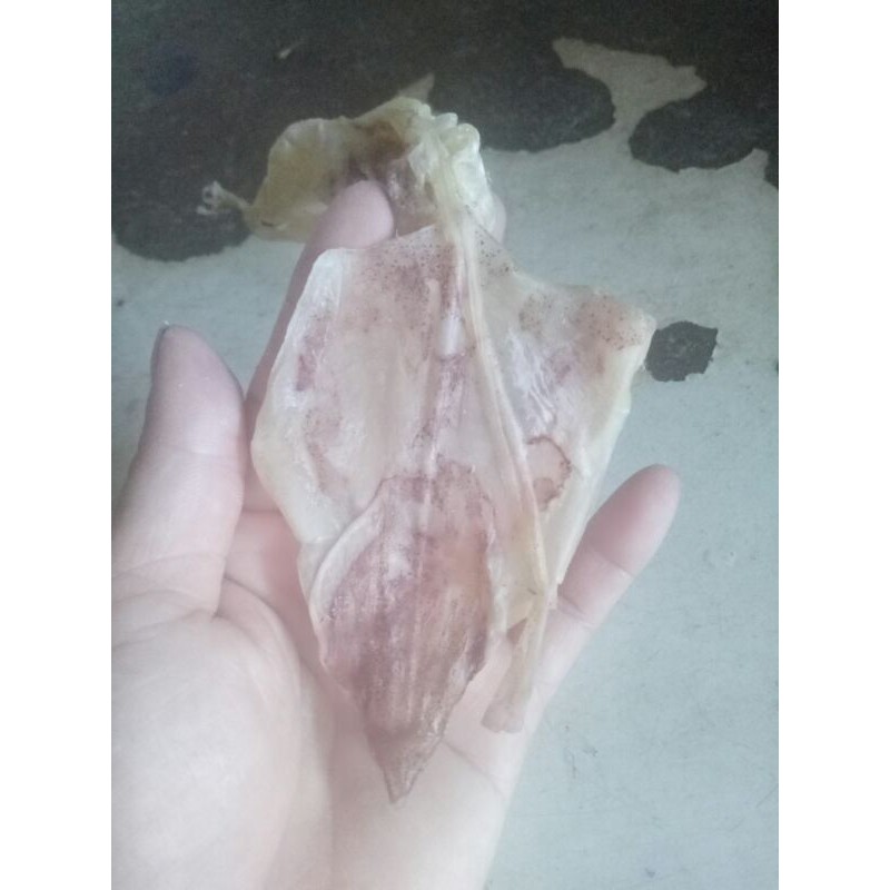 Mực khô mini con từ 2-4 ngón tay [DỌN KHO - XẢ LỖ] dùng rim me, ngào tỏi ớt, ngon, ngọt | BigBuy360 - bigbuy360.vn