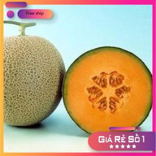 Hạt giống Dưa lưới F1 (Ruột cam, Siêu ngọt)