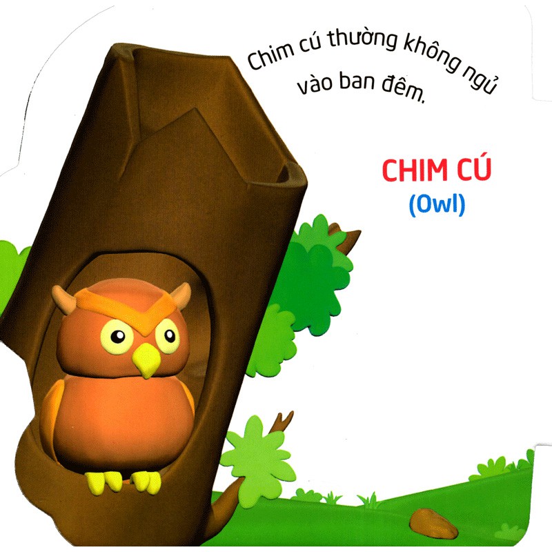 Sách Thế Giới Trong Mắt Em - Các Loài Chim