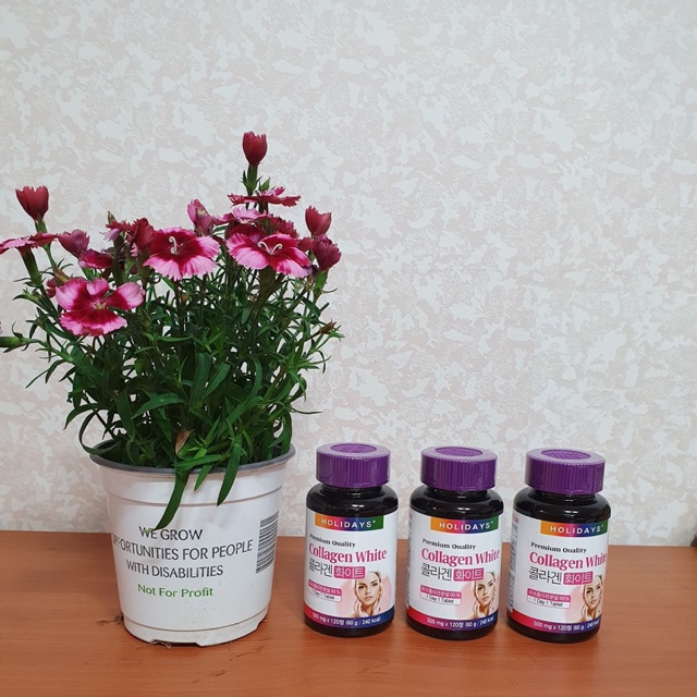 COLLAGEN WHITE HOLIDAYS PREMIUM QUALITY