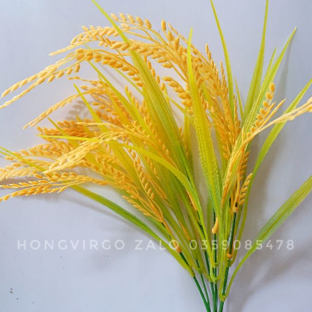 👉 Bông Lúa Giả Trang Trí dài 40cm 7 nhánh