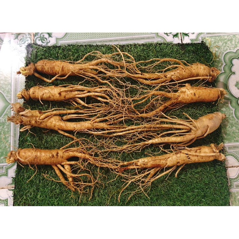 Sâm Hàn Quốc size 8 củ 1kg.1 củ chỉ 250k | BigBuy360 - bigbuy360.vn