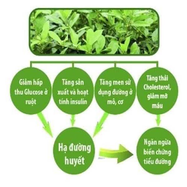 Trà Dây Thìa Canh Lava Hộp 30 gói Hỗ trợ tiểu đường