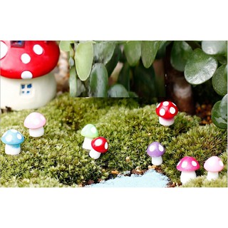 Nấm Mini - Phụ Kiện Trang Trí Tiểu Cảnh Sen Đá/Bonsai, Terrarium