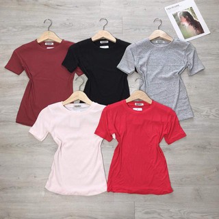 Áo thun tay ngắn cổ tròn( Sỉ giá sock)💕𝑭𝑹𝑬𝑬𝑺𝑯𝑰𝑷💕[Giá gốc tận xưởng]