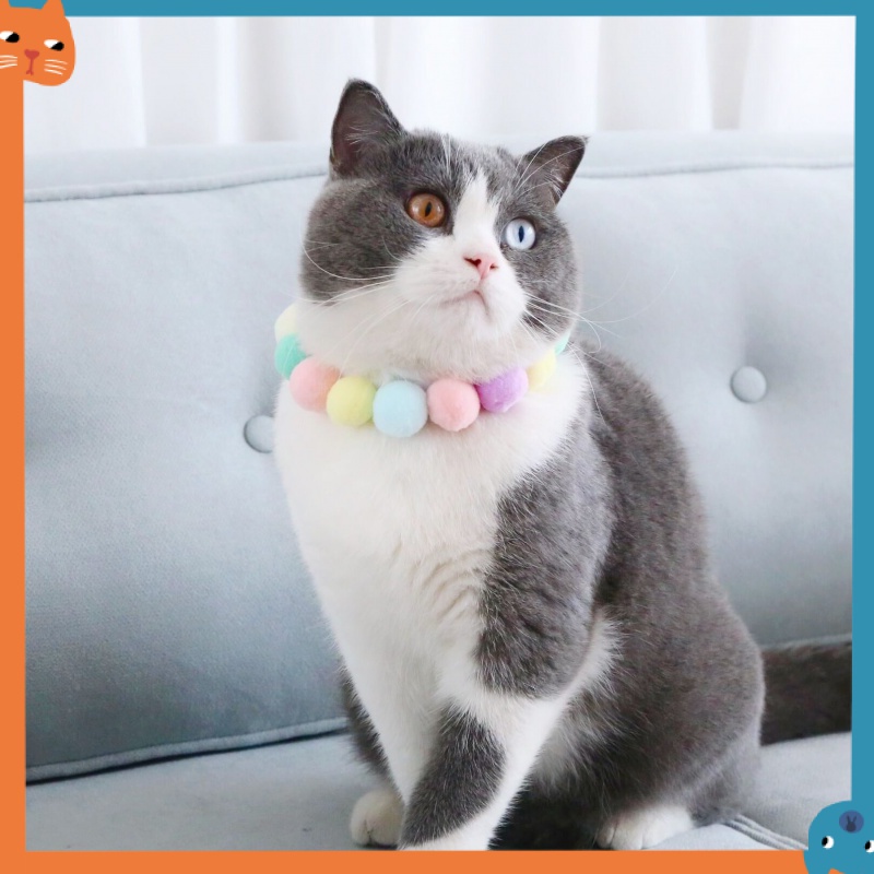 Vòng Cổ ThờI Trang Cho Thú Cưng