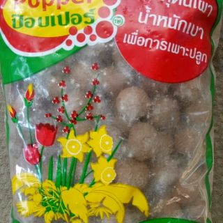 Hạt Đất Nung