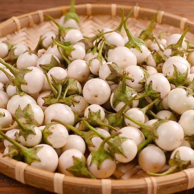 Hạt Giống Cà Pháo Trắng Năng Suất Cao, Tỉ Lê Nảy Mầm Cao - Gói 200 Hạt