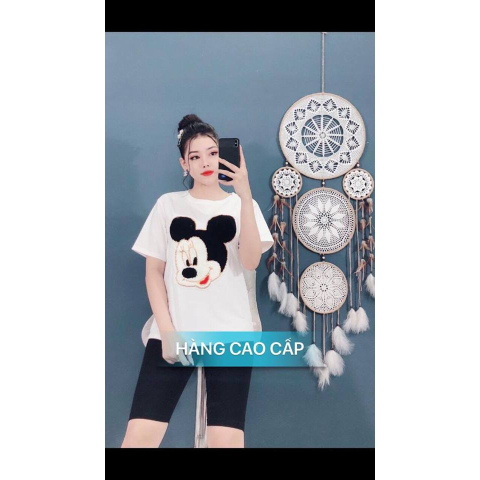 SÉT BỘ THỜI TRANG CAO CẤP ĐẦU CHUỘT LÔNG-SB82