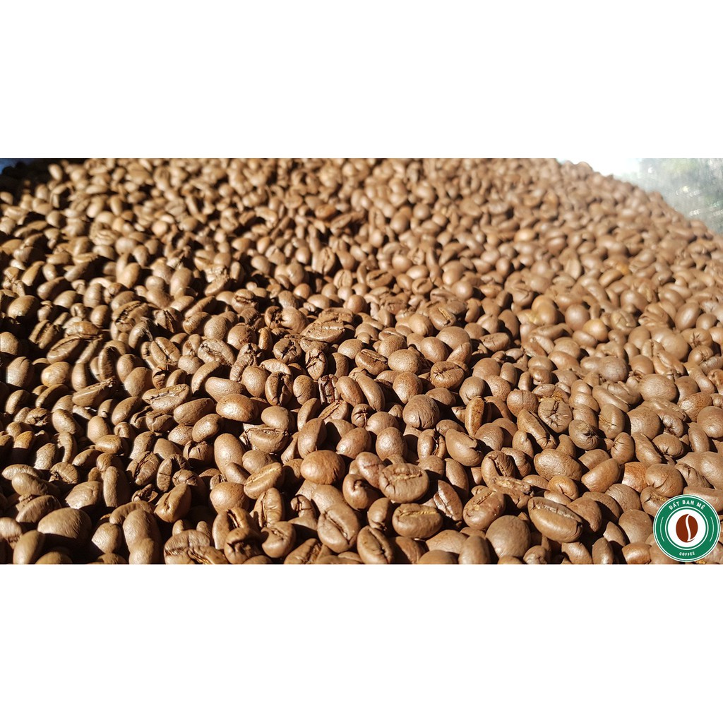 Cà phê thượng hạng  Robusta Natural Daklak 500 gr -  Moka cafe | BigBuy360 - bigbuy360.vn
