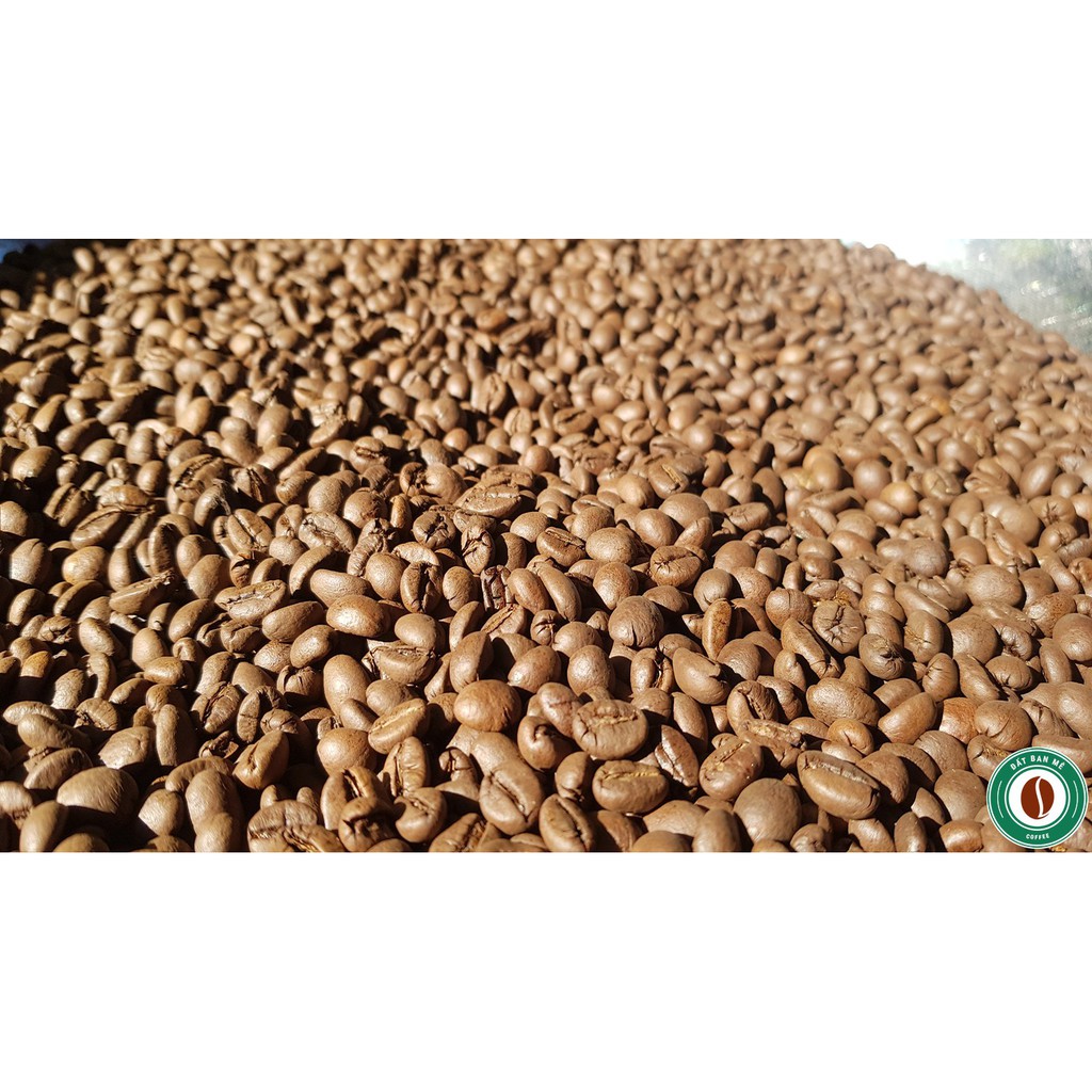 Cà phê thượng hạng  Robusta Natural Daklak 500 gr -  Moka cafe