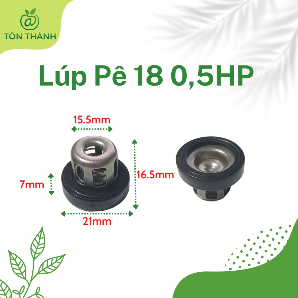 LÚP PÊ  VAN 1 CHIỀU ĐẦU XỊT RỬA XE 0.5HP 1HP 2HP