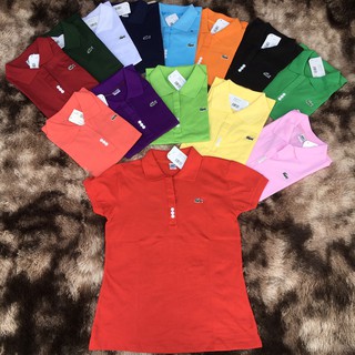 Áo thun nữ mẫu mới size xxxxl