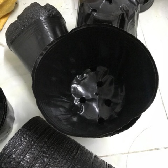 1kg Bầu ươm cây, túi bầu ươm hạt, bầu ươm hạt giống