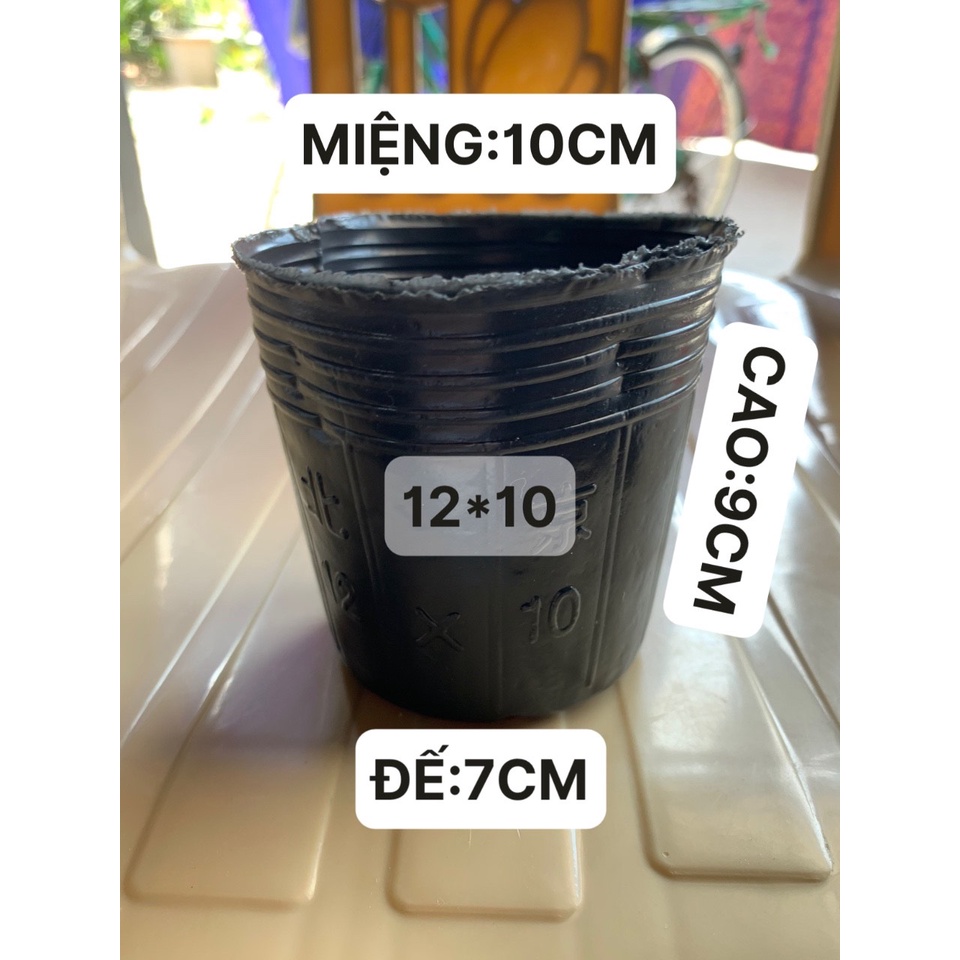 BẦU ƯƠM CÂY 12*10 ( DỊCH TRUYỀN CHO CÂY, KÍCH RỄ , MẦM CÂY XANH LÁ, LƯỚI CHE NẮNG...)