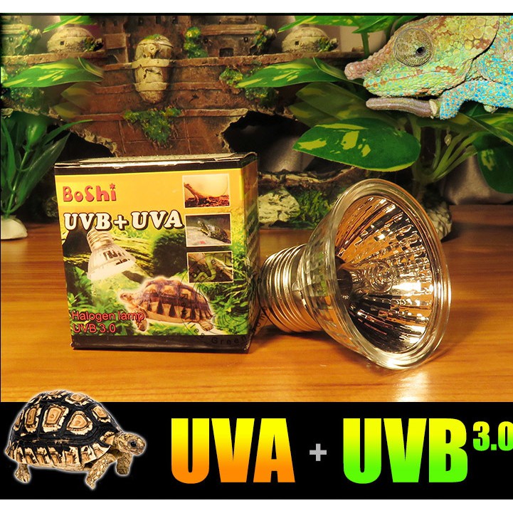 🐢 🐁 🐶 🐱 Đèn sưởi tích hợp tia UVA & UVB dùng cho bò sát và các loại thú cưng khác vào ban ngày