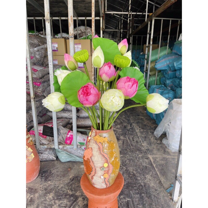 combo lọ và hoa sen giả bách diệp trang trí phòng khách, chụp ảnh,siêu đẹp và sẵn kho