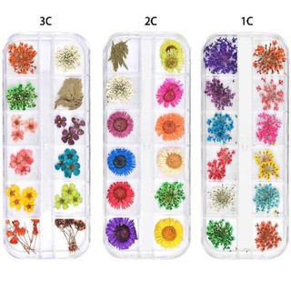 Khay 12 ngăn đựng hoa khô nhiều màu trang trí resin