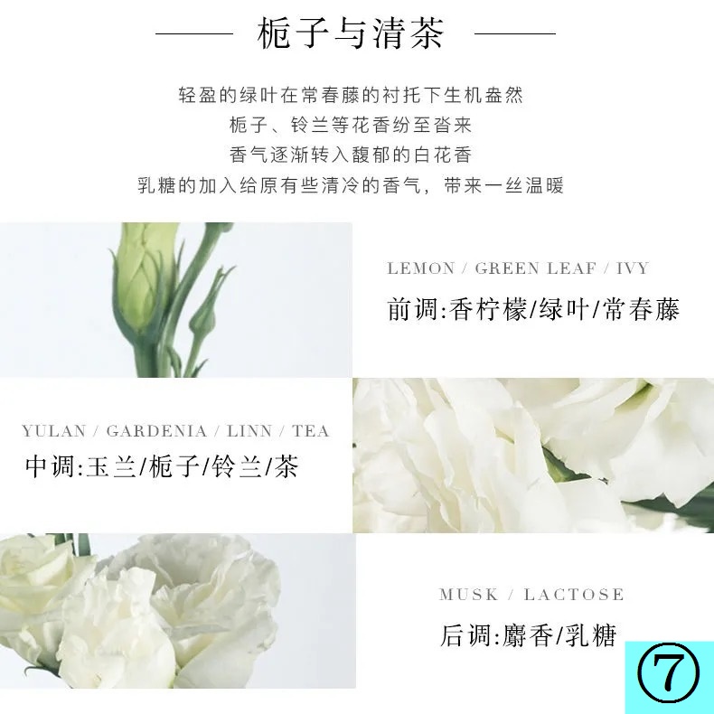 Tik Tok Nước Hoa Trà Trong Suốt Hương Hoa Nhẹ Lâu Có Hương Thơm Cao Cấp Làm Quà Tặng Sinh Nhật Cho Nam Và Nữ