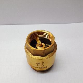 Lupe van 1 chiều lò xo đồng phi 34