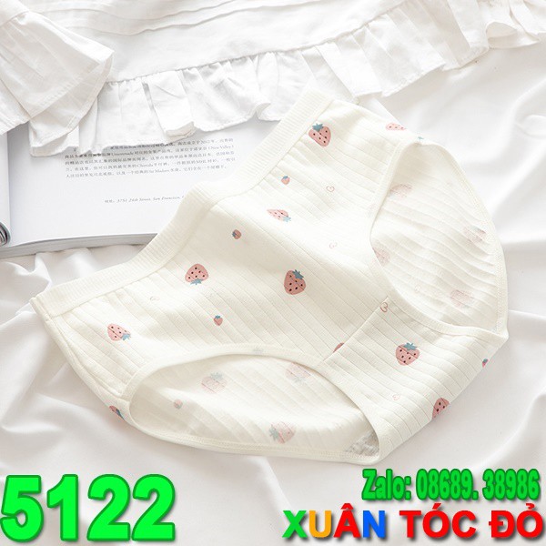 SỈ ZALO RẺ HƠN NHIỀU_ Quần Lót 5 Kiểu Dâu Tây Mới Cực Đáng Yêu 5122 | BigBuy360 - bigbuy360.vn