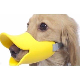 RỌ MÕM MỎ VỊT CHO CHÓ MÈO