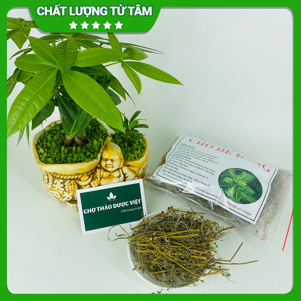 [Giá Sỉ] 500gr Cây Chó Đẻ Đắng (Diệp Hạ Châu)