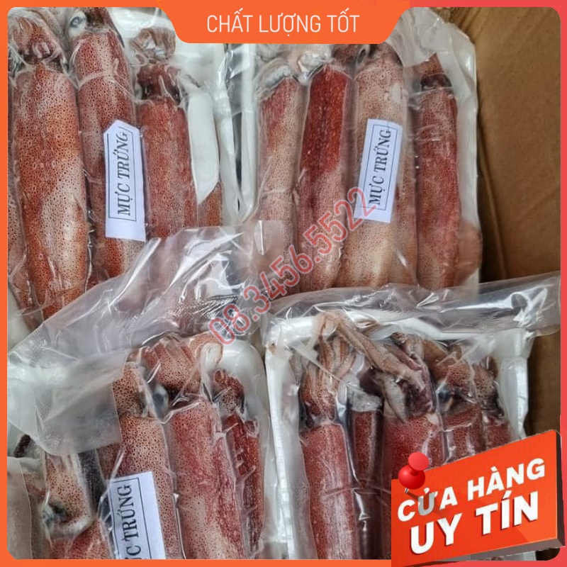 Mực Trứng Cô Tô size 12-15 con Bao Ngon Như Hình Ăn Sướng Mê. Giao Ngay trong 2 giờ