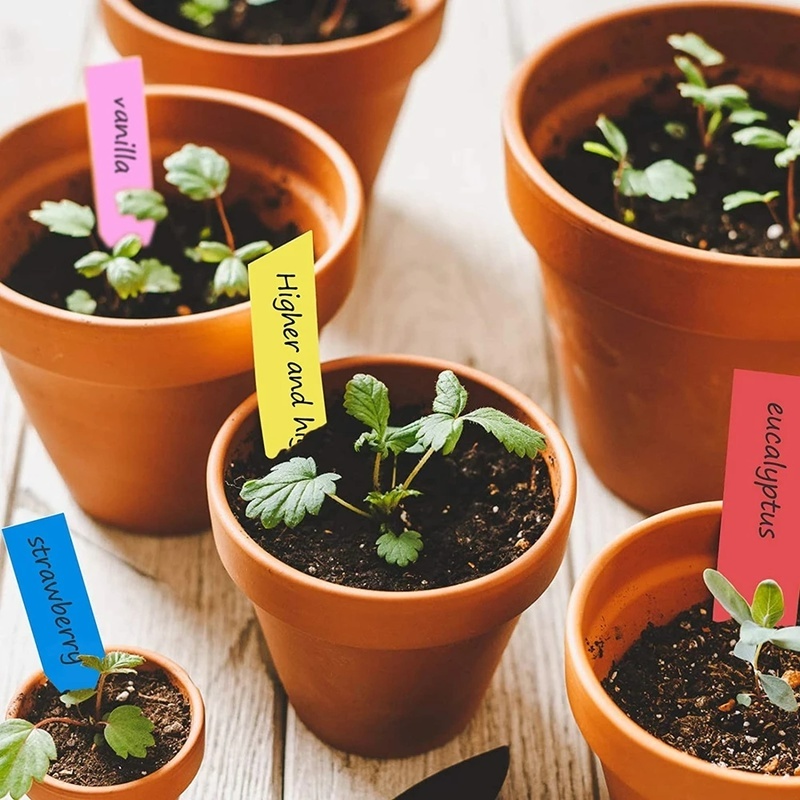 Set 100 Nhãn Nhựa Chống Nước Dùng Đánh Dấu Chậu Cây