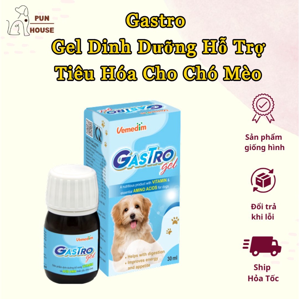 GASTRO GEL - Sản phẩm dinh dưỡng chứa các vitamin, acid amin thiết yếu giúp tăng sức đề kháng và hỗ trợ hệ tiêu hóa