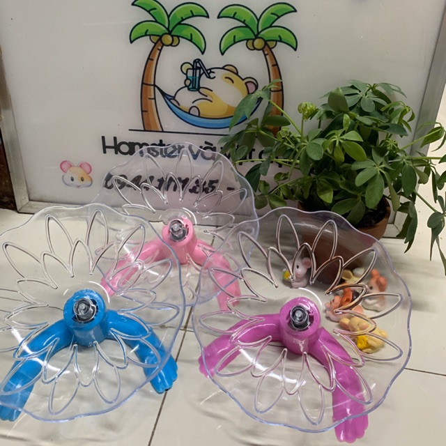 Wheel đĩa bay parabol hoa