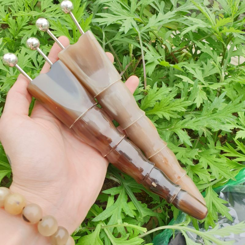 bọ cạp sừng bạc 12ly  đặc