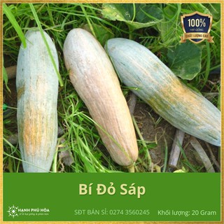 Hạt Giống Bí Đỏ Sáp NNX 20g/gói - Sinh Trưởng Mạnh, Trồng Quanh Năm, Năng Suất Cao, Nhiều Lợi Ích Sức Khoẻ