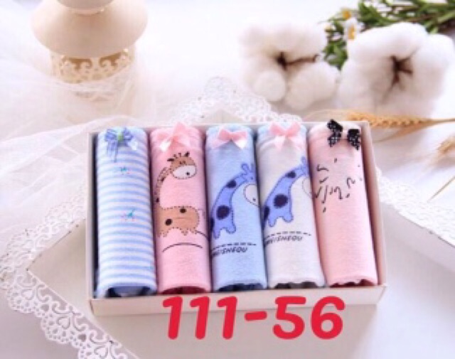 Quần lót cotton kute siêu đẹp hàng sịn hộp 5 quần nhiều mẫu đẹp | BigBuy360 - bigbuy360.vn
