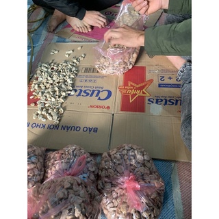 hạt sành -chuẩn loại -hạt ruột trắng