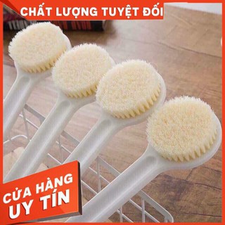 CÂY CỌ LƯNG MUJI NHẬT BẢN
