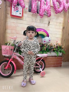 Set nỉ bé gái H&M