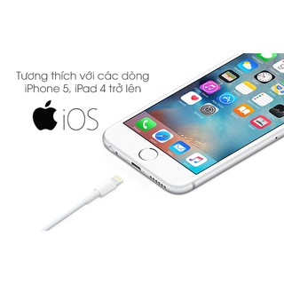 Cáp Lightning 1m Apple cho iPhone/iPad/iPod (Cable)