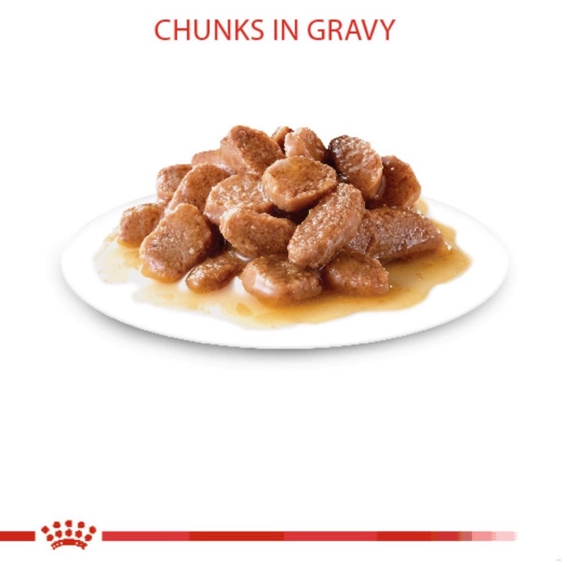 PATE ROYAL CANIN URINARY CHO MÈO BỊ THẬN 85g GRAVY