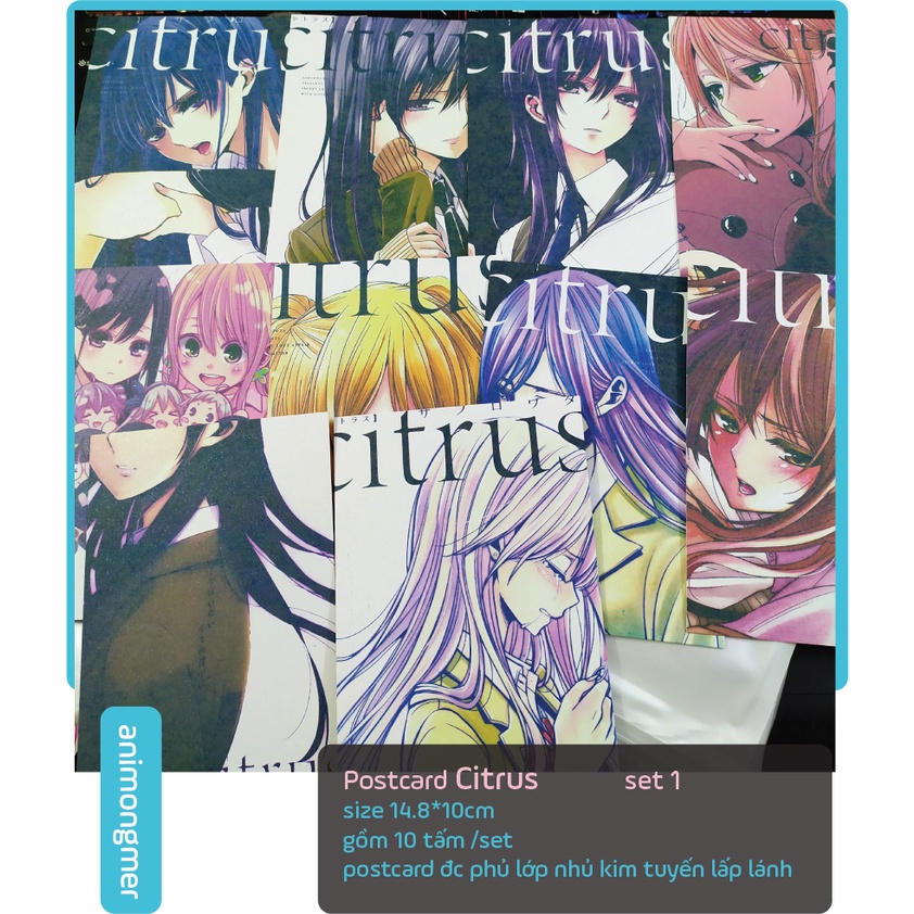 Postcard bưu thiếp Citrus