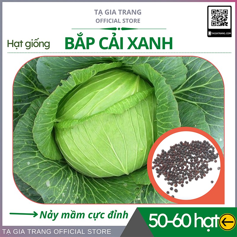 Hạt giống rau bắp cải xanh - Gói 0.2g (50-80 hạt)