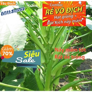 [Combo rẻ vô địch HẠT GIỐNG + GÓI  KÍCH NẢY MẦM] - 5 hạt giống quả đậu bắp xanh