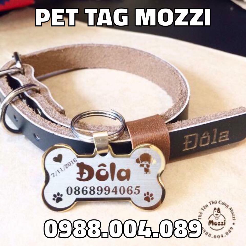 Pettag Mozzi - Combo Thẻ tên và Dây da khắc tên chó mèo