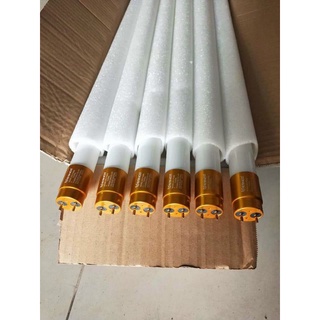 Bóng Đèn Tuýp Led T8 thuỷ tinh 30w hiệu Esnco dài 1m2 đầu nhôm vàng bảo hành 12 tháng
