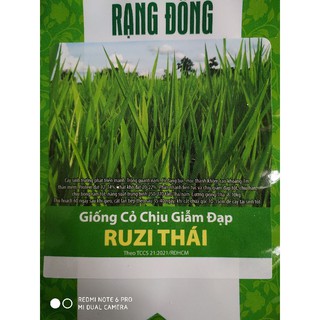 Hạt giống Cỏ Ruzi Thái 100gr ( thức ăn cho bò,dê,cừu,thỏ )