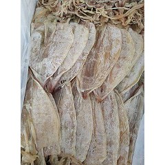 1 con-Mực khô 15c/1kg