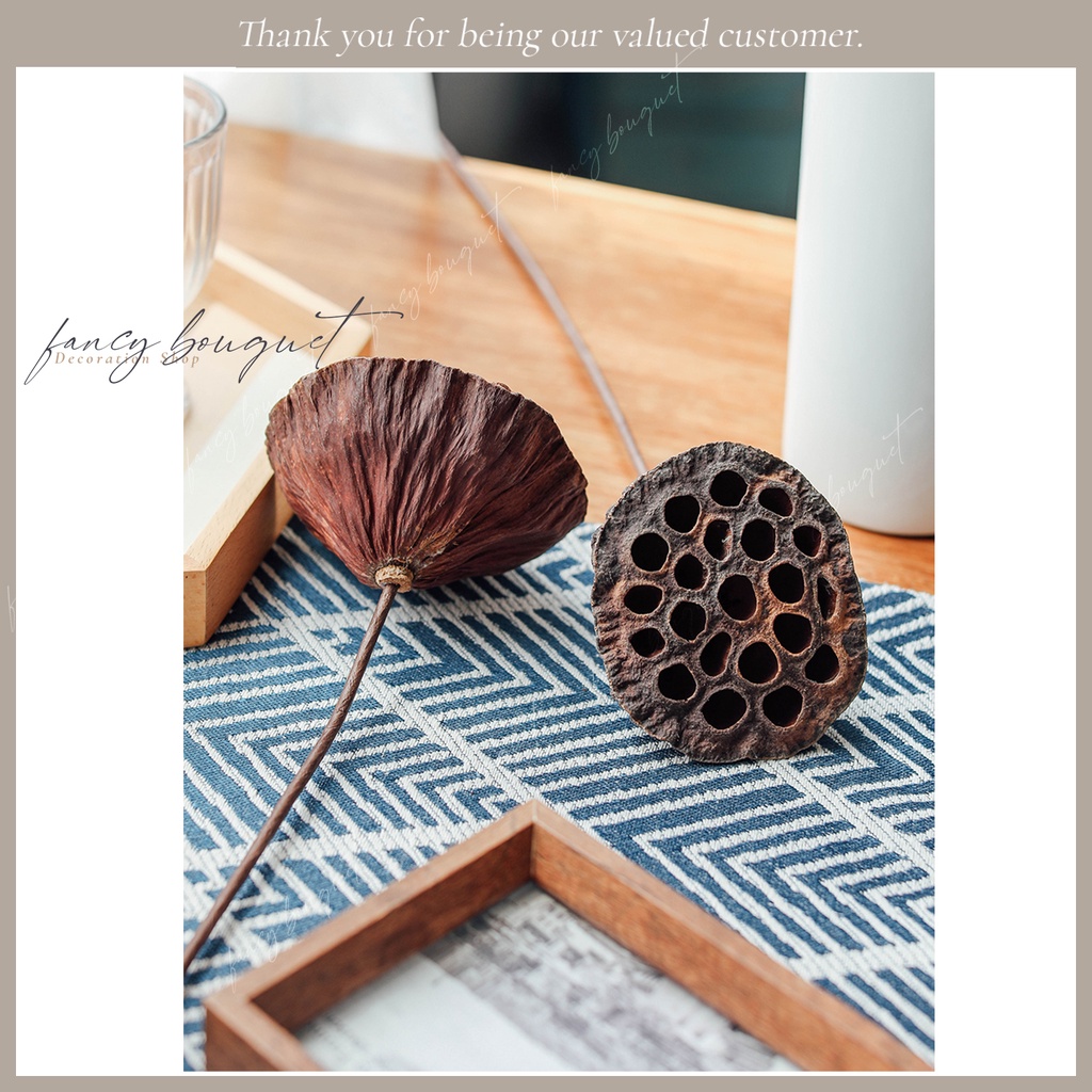 Đài hoa sen khô tự nhiên ❤️FREESHIP❤️ 4 Mẫu Đài sen trang trí decor