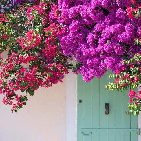 wwqq55661.vn, Cửa hàng trực tuyến | BigBuy360 - bigbuy360.vn